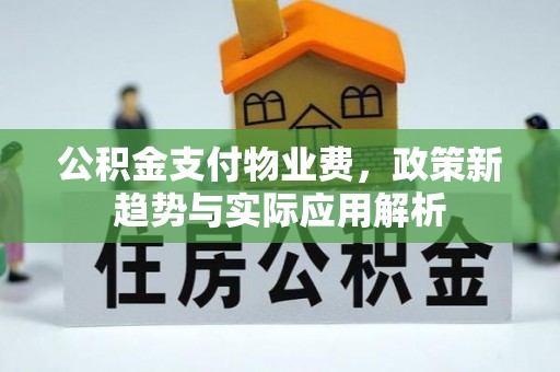 斗南公积金支付物业费，政策新趋势与实际应用解析