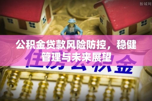 斗南公积金贷款风险防控，稳健管理与未来展望