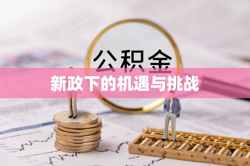 斗南新政下的机遇与挑战