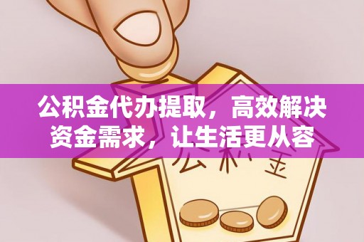 斗南公积金代办提取，高效解决资金需求，让生活更从容