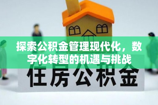 斗南探索公积金管理现代化，数字化转型的机遇与挑战