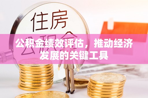 斗南公积金绩效评估，推动经济发展的关键工具