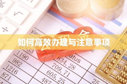 斗南如何高效办理与注意事项