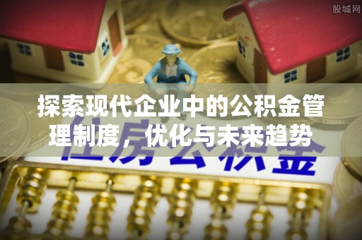 斗南探索现代企业中的公积金管理制度，优化与未来趋势