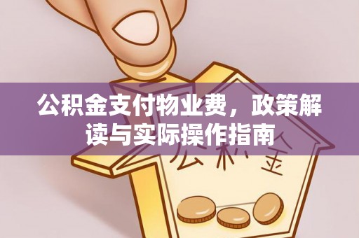 斗南公积金支付物业费，政策解读与实际操作指南