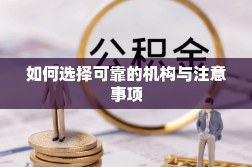 斗南如何选择可靠的机构与注意事项