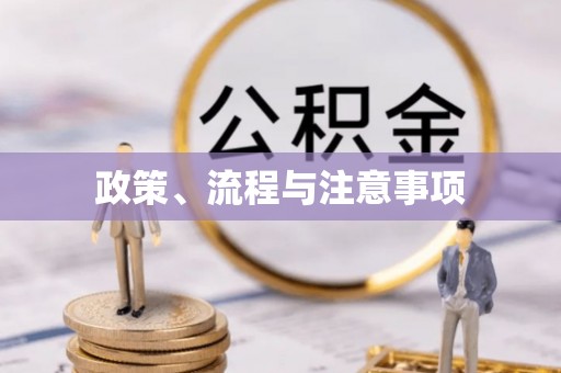 斗南政策、流程与注意事项