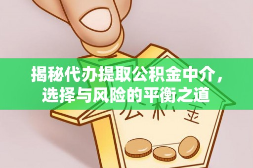 斗南揭秘代办提取公积金中介，选择与风险的平衡之道