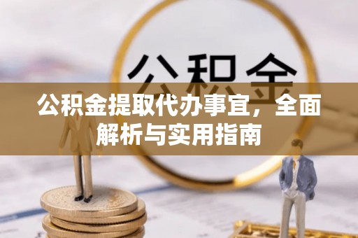 斗南公积金提取代办事宜，全面解析与实用指南
