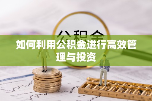 斗南如何利用公积金进行高效管理与投资