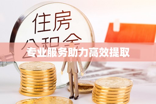 斗南专业服务助力高效提取