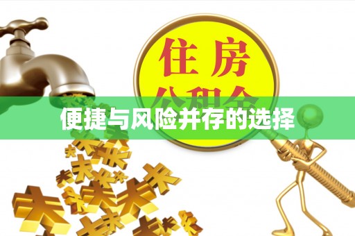 斗南便捷与风险并存的选择
