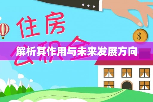 斗南解析其作用与未来发展方向