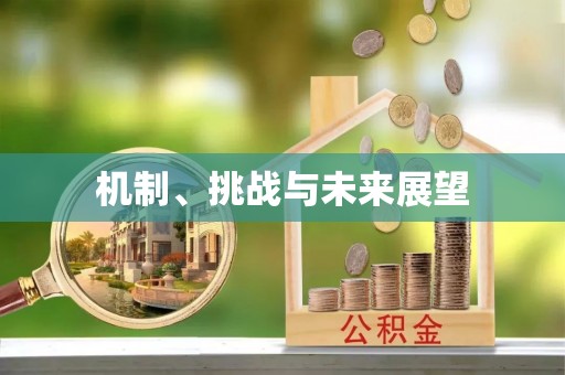 斗南机制、挑战与未来展望