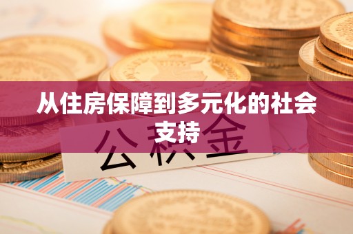 斗南从住房保障到多元化的社会支持