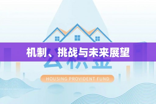 斗南机制、挑战与未来展望