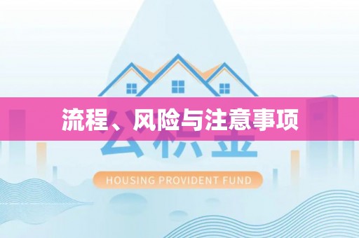 斗南流程、风险与注意事项